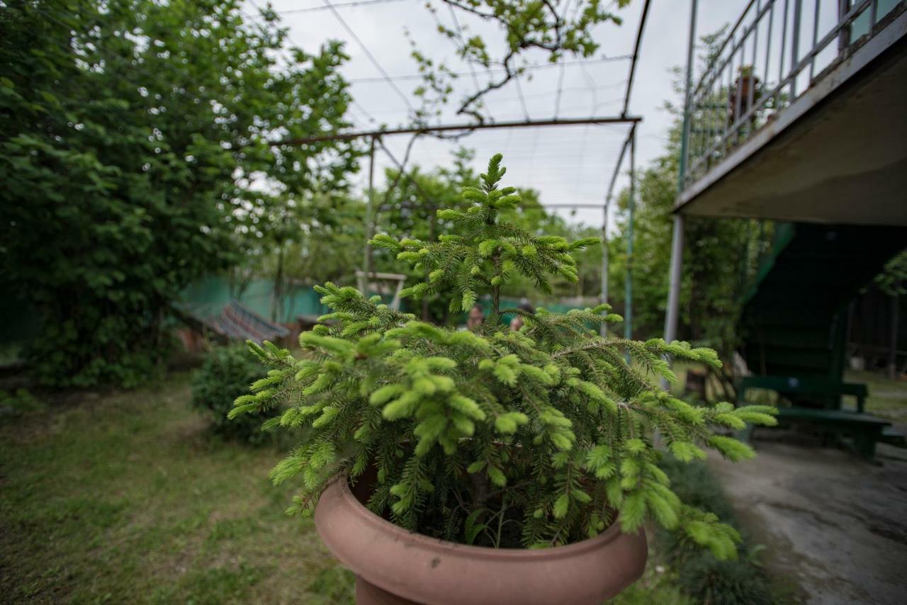 Zandukeli Inn Telavi Kültér fotó